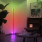 Orion RGB LED Floor Lamp